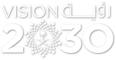 رؤية المملكة 2030